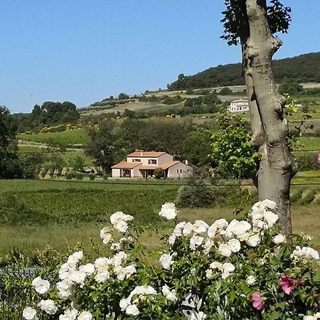 Domaine De Peilhan Roujan Экстерьер фото