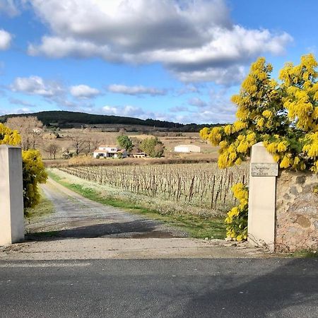 Domaine De Peilhan Roujan Экстерьер фото