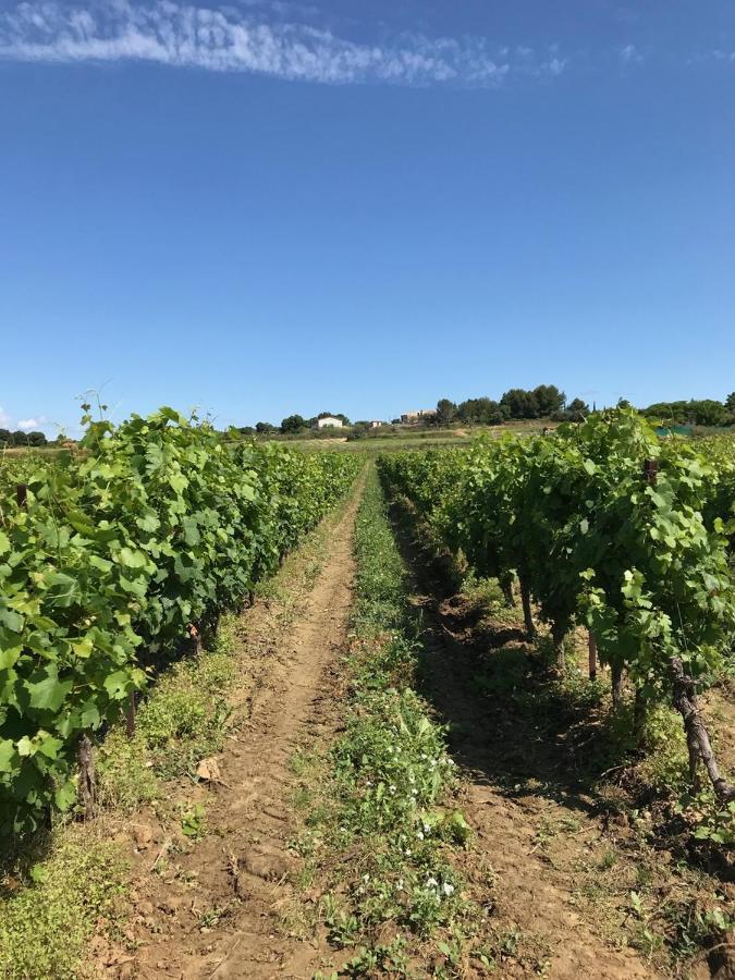 Domaine De Peilhan Roujan Экстерьер фото