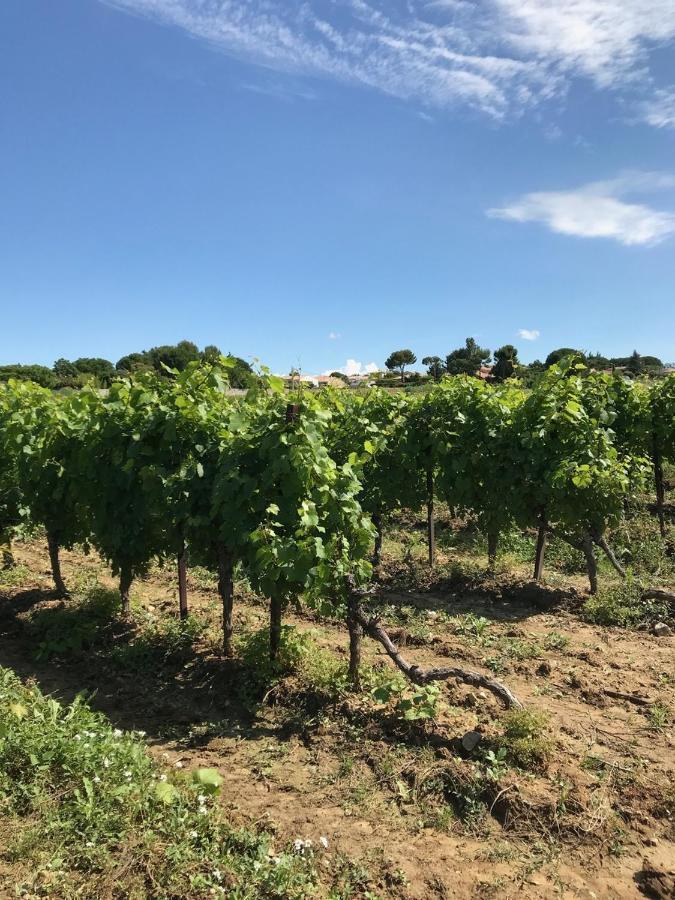 Domaine De Peilhan Roujan Экстерьер фото
