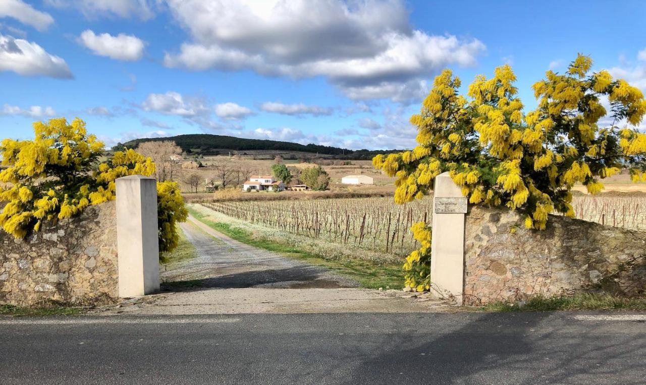 Domaine De Peilhan Roujan Экстерьер фото