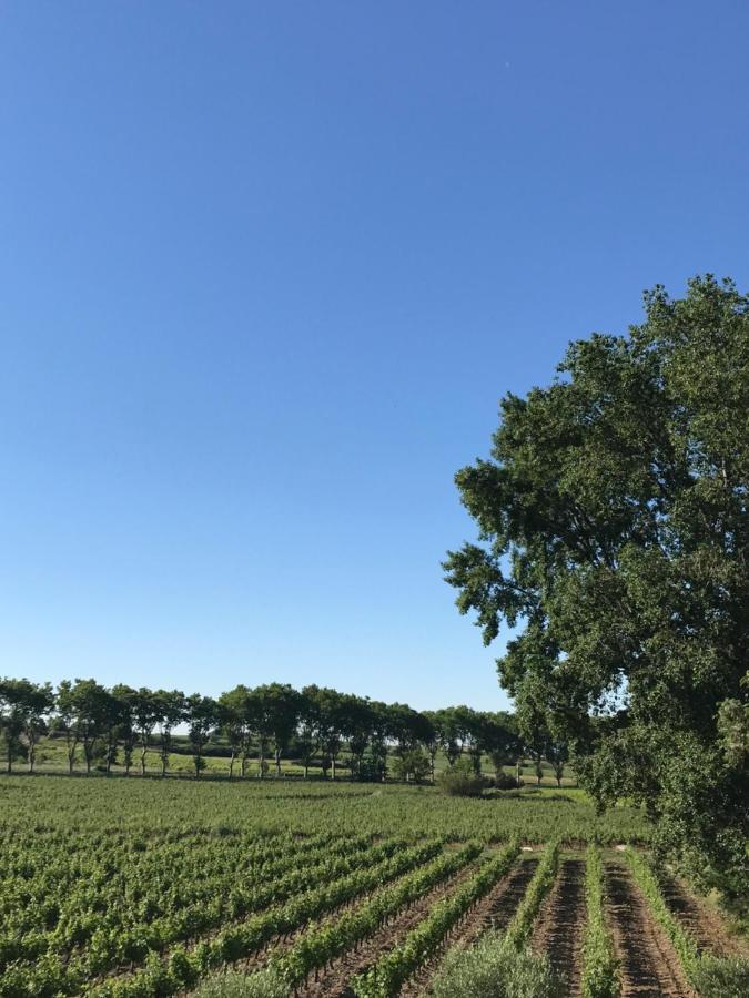 Domaine De Peilhan Roujan Экстерьер фото