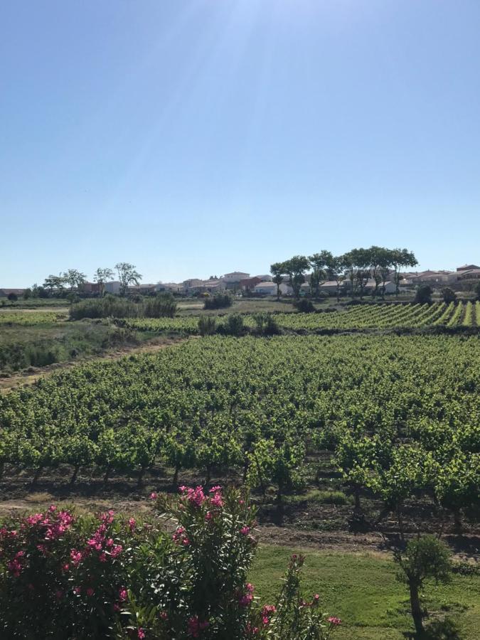Domaine De Peilhan Roujan Экстерьер фото